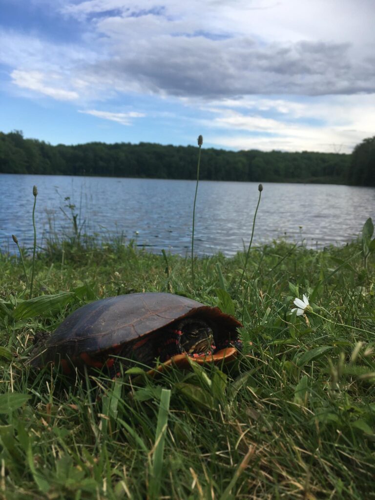 502704596_10100264197016883_3886942654950995493_n